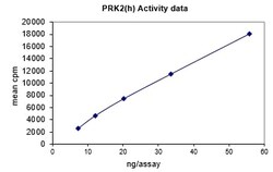 Eurofins DiscoverX PRK2 Protein, Active 10 &mu;g | Buy Online | Eurofins DiscoverX | Fisher Scientific